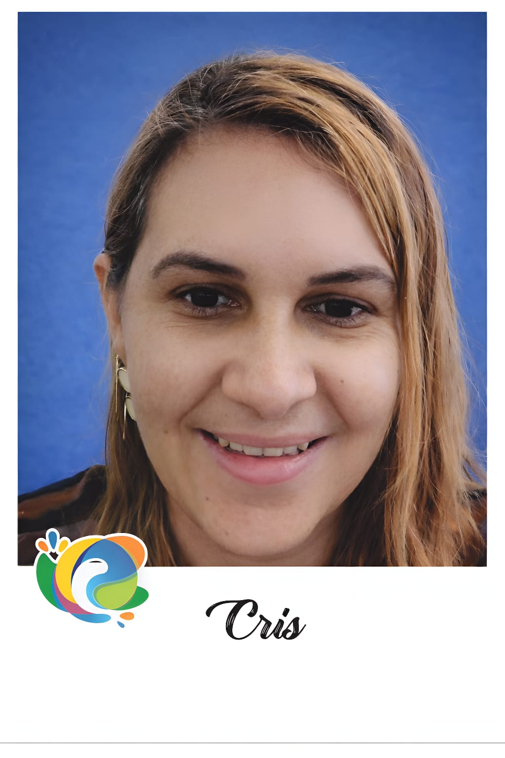 Consultor Credenciado 7